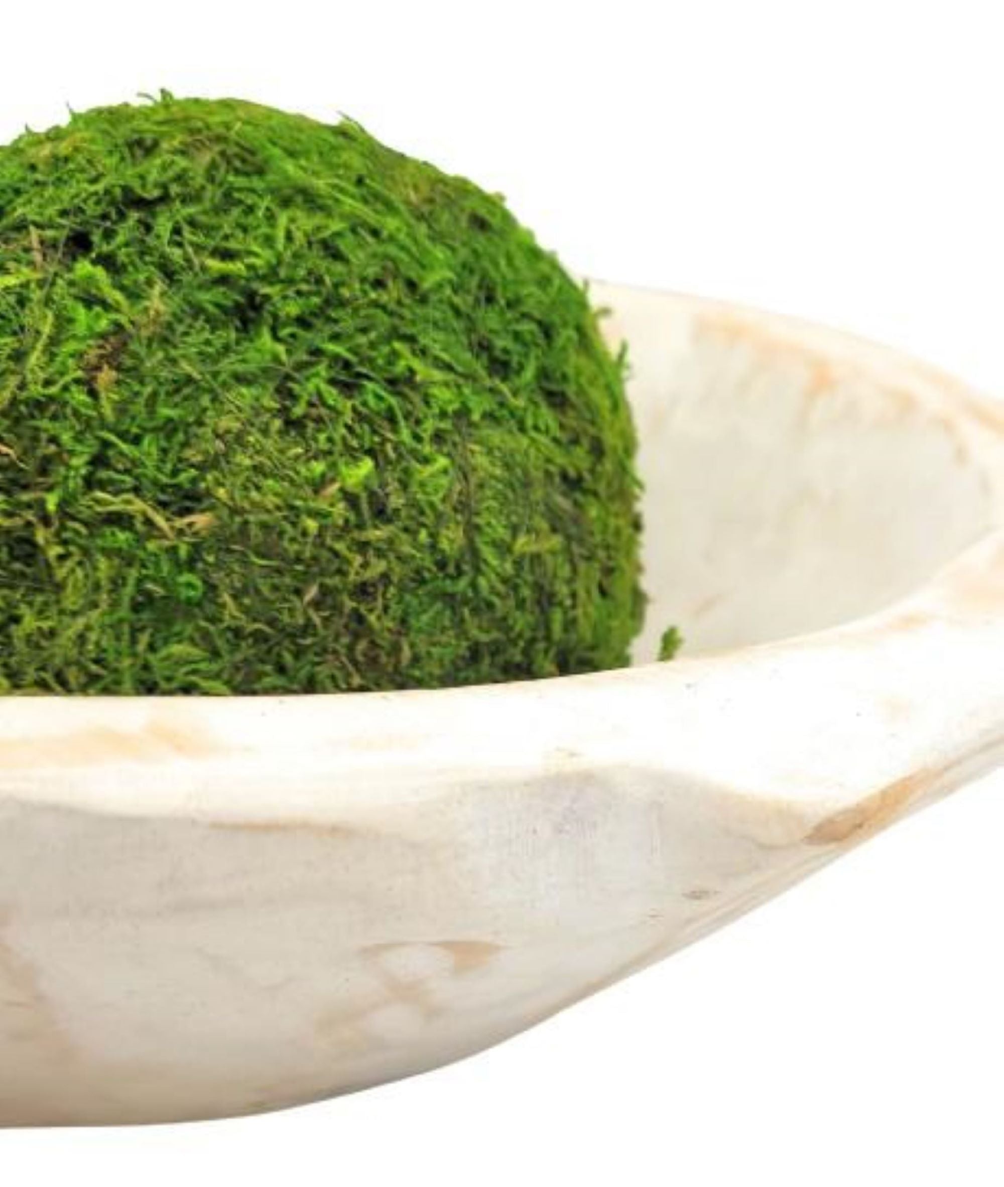 14"-16"  Large Rustic White Avocado Dough Bowl - Wood Bread Bowl- The Avocado Decorative Bowl - Ranch Junkie Mercantile LLC