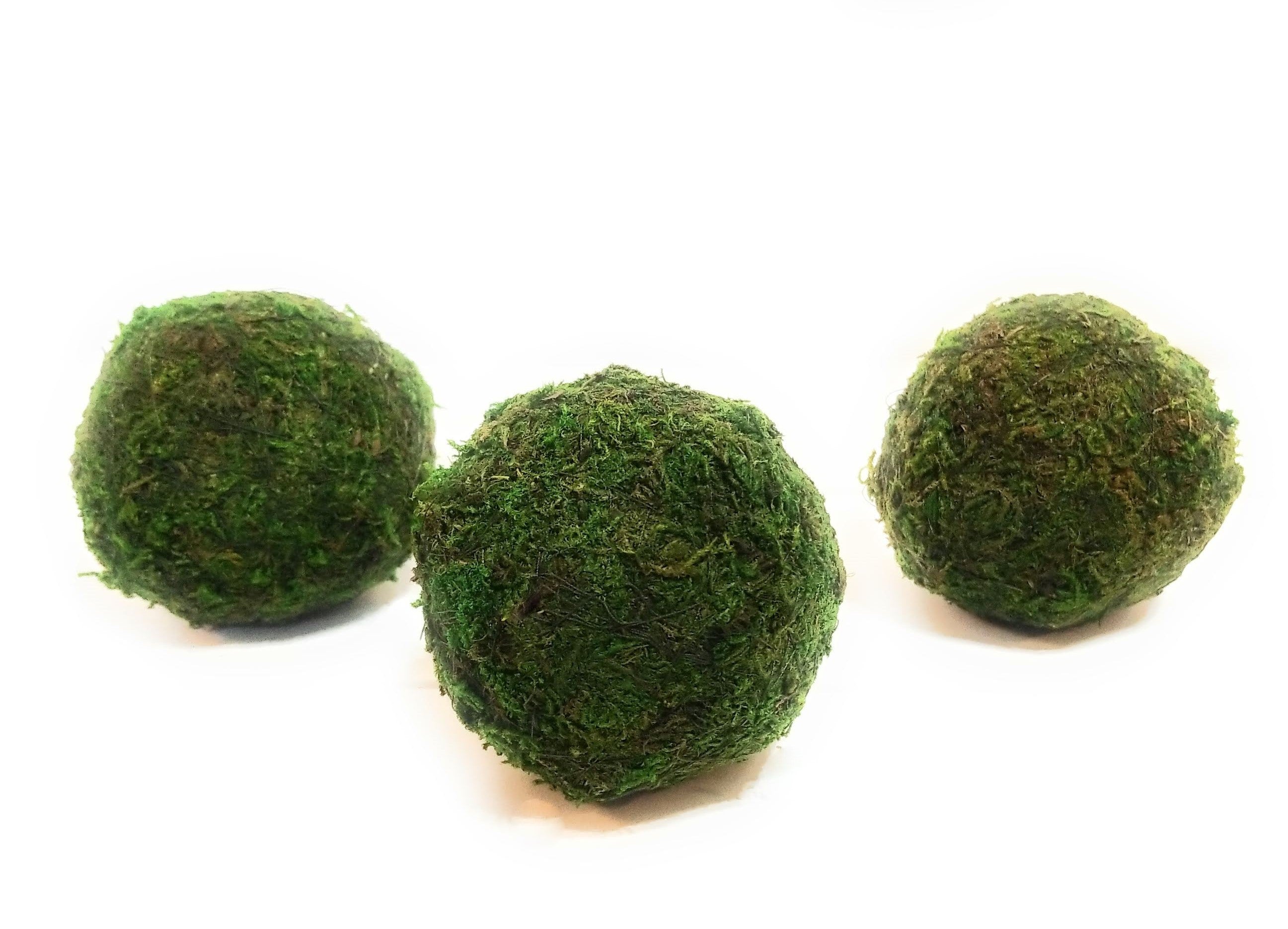 5 Green Moss Ball