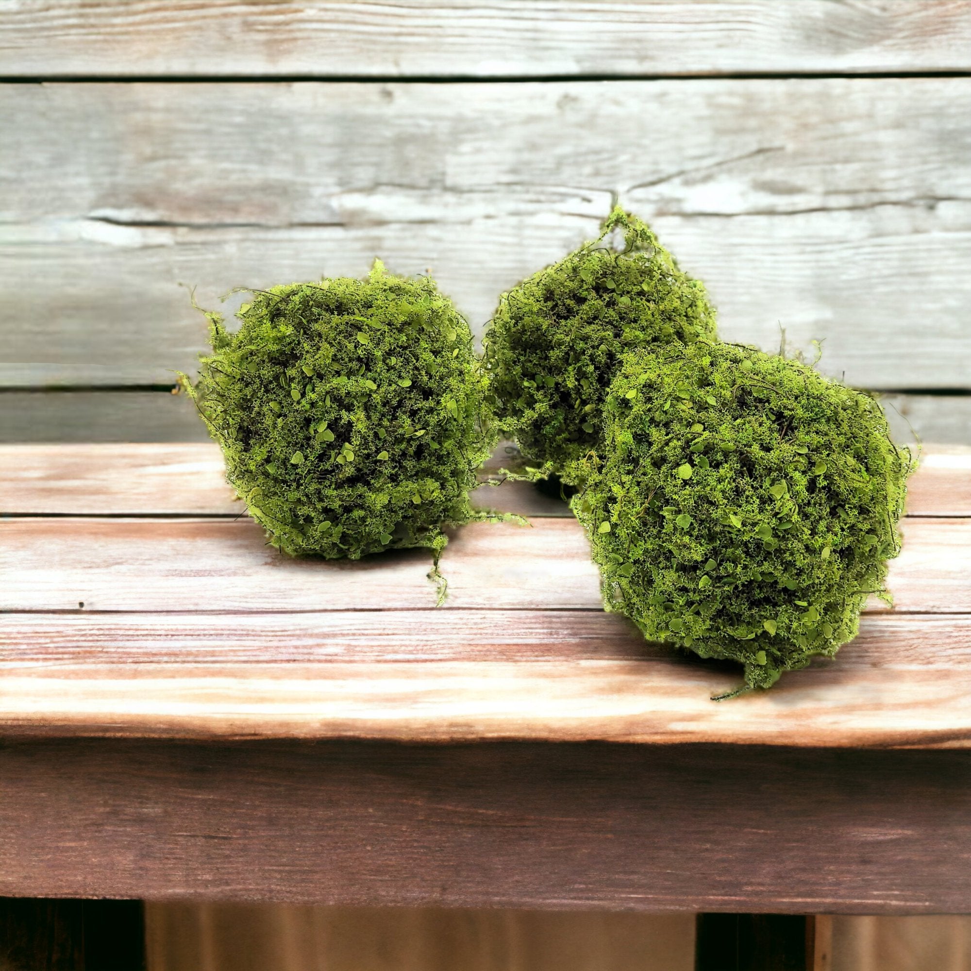 moss balls 