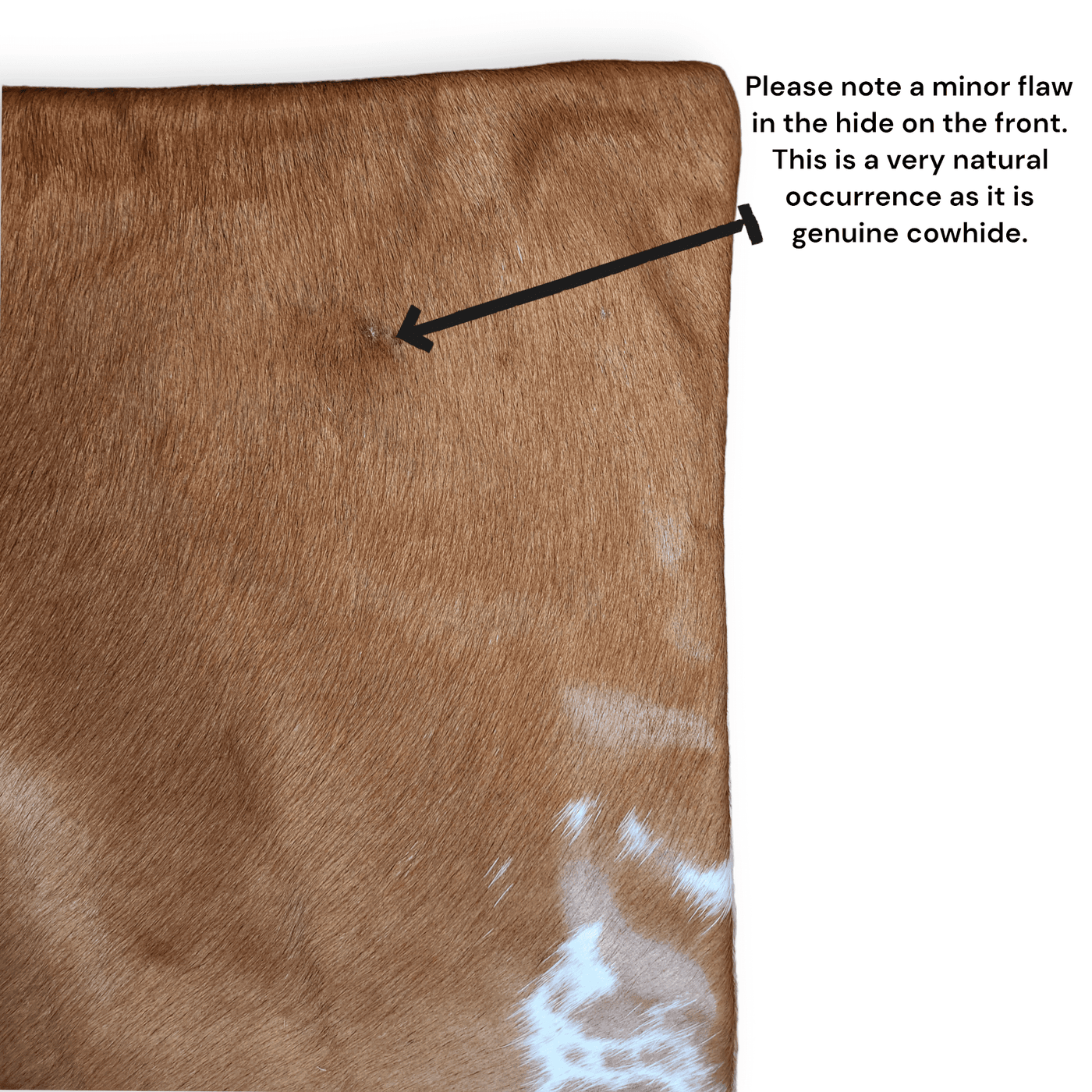 Sample Sale Highlands Genuine Cowhide Caramel Pillow Cover - Ranch Junkie Mercantile LLC