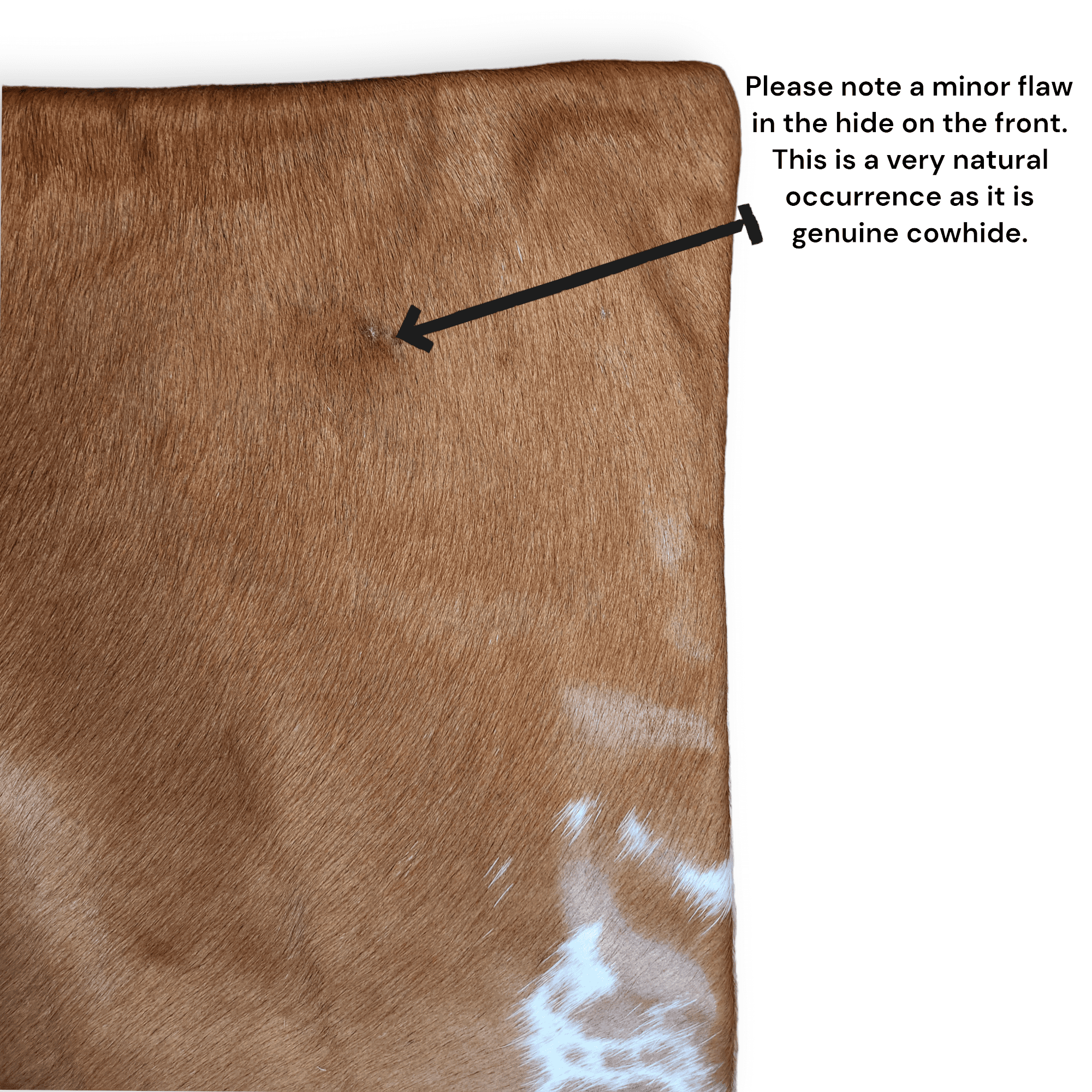 Sample Sale Highlands Genuine Cowhide Caramel Pillow Cover - Ranch Junkie Mercantile LLC
