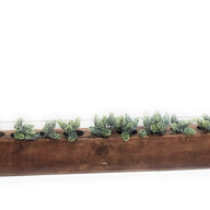 Rustic Farmhouse Candle Holders, Authentic Sugar Mold Candle Holder, Planter,Organizer, Various Sizes- 1, 2, 3, 5, 6,12 Holes, Candle Holder - Ranch Junkie Mercantile LLC