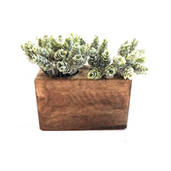 Rustic Farmhouse Candle Holders, Authentic Sugar Mold Candle Holder, Planter,Organizer, Various Sizes- 1, 2, 3, 5, 6,12 Holes, Candle Holder - Ranch Junkie Mercantile LLC