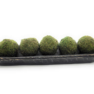 18"-21" Long Rustic Ebony Baguette Dough Bowl, Decorative Bowl, Table Center Piece, Decorative Bowl The New Dawn Ebony Wood Bowl Decor - Ranch Junkie Mercantile LLC