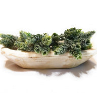 9"-10" Long White Mini Dough Bowl Small Wood Decorative Bowl - The Itty Bitty Bowl- White - Ranch Junkie Mercantile LLC