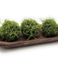 19"-22" Long Decorative Wood Dough Bowl - The Weston Dough Bowl - Ranch Junkie Mercantile LLC