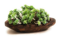 Bundle Deal- Weston 19"-22" Long Decorative Wood Dough Bowl + 9"-10" Long Mini Dough Bowl - Two Colors Available - Ranch Junkie Mercantile LLC 