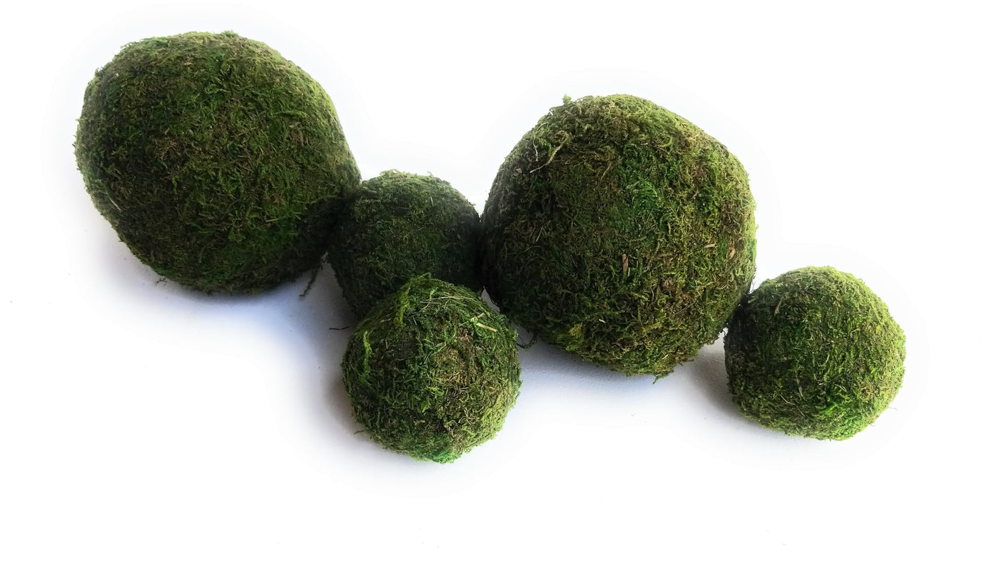 3 Inch + 5 Inch Moss Balls Multiple Sets Dough Bowl Fillers - Ranch Junkie Mercantile LLC