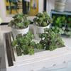 Faux Succulents - Ranch Junkie Mercantile LLC
