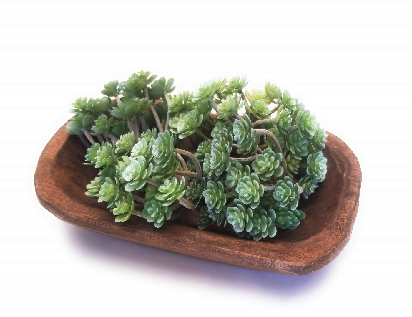 Faux Succulents - Ranch Junkie Mercantile LLC