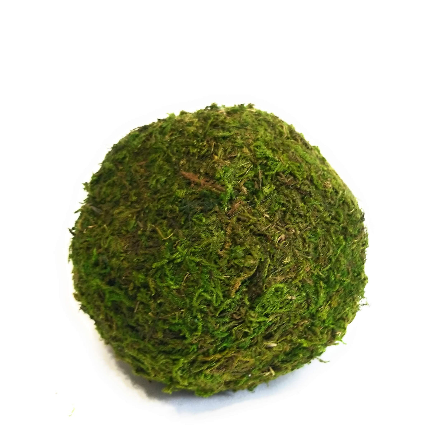5 Green Moss Ball