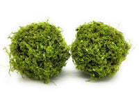 5 Inch Mossy Twig Ball Decorative Bowl Filler Balls - Ranch Junkie Mercantile LLC 
