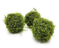 5 Inch Mossy Twig Ball Decorative Bowl Filler Balls - Ranch Junkie Mercantile LLC 