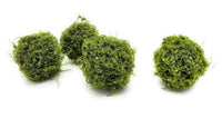 5 Inch Mossy Twig Ball Decorative Bowl Filler Balls - Ranch Junkie Mercantile LLC 