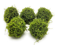 5 Inch Mossy Twig Ball Decorative Bowl Filler Balls - Ranch Junkie Mercantile LLC 