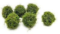 5 Inch Mossy Twig Ball Decorative Bowl Filler Balls - Ranch Junkie Mercantile LLC 