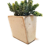 Rustic Ivory Farmhouse 1 Hole Wooden Candle Holder- Sugar Mold Candle Holder One Hole-  Faux Succulent Planter - Ranch Junkie Mercantile LLC