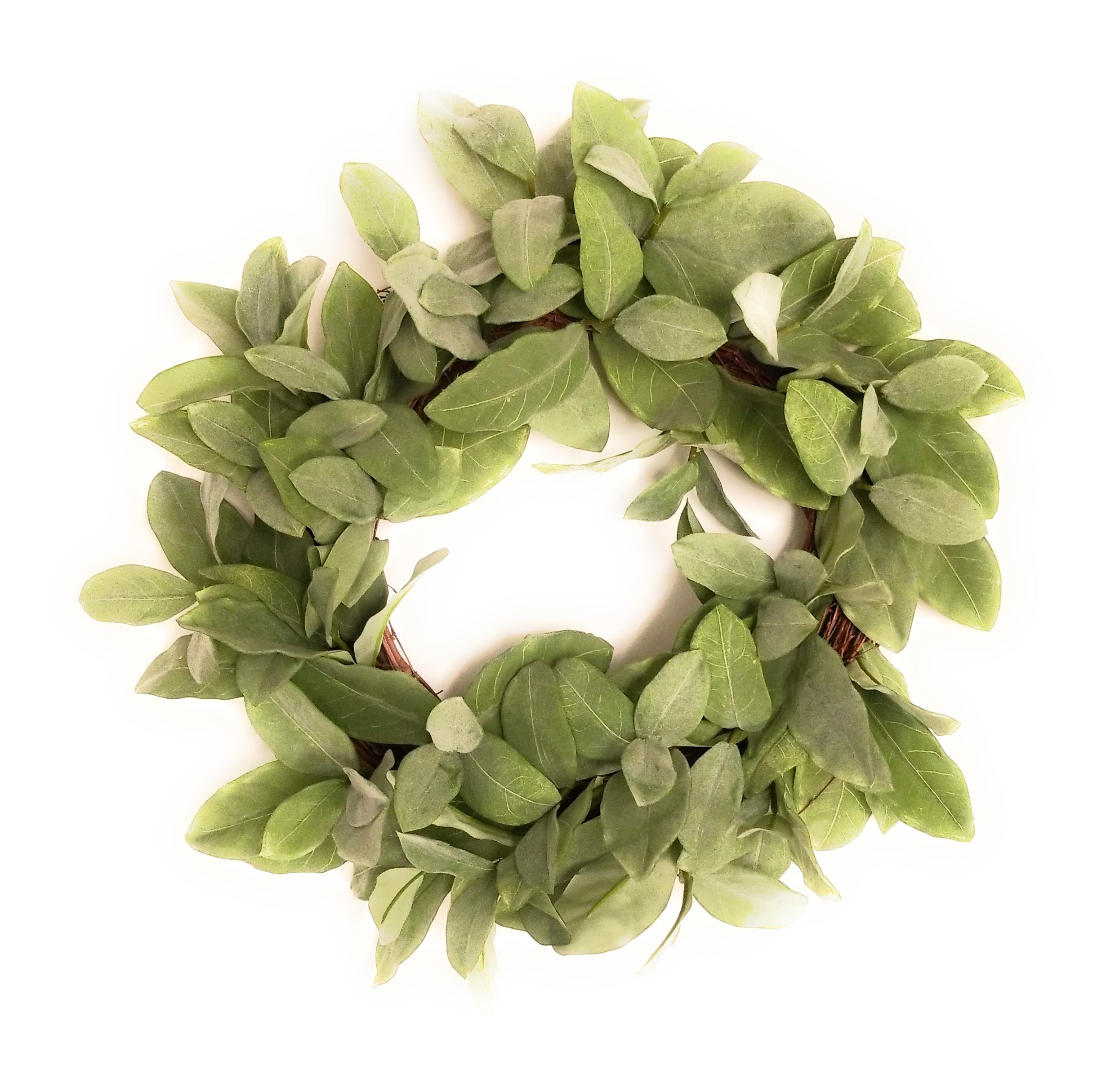 20" Frosted Green Bay Leaf Wreath Faux - Ranch Junkie Mercantile LLC