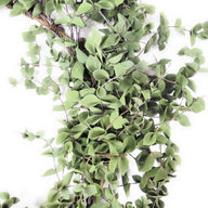25" Eva Eucalyptus Leaf Wreath- Faux Wreath - Ranch Junkie Mercantile LLC
